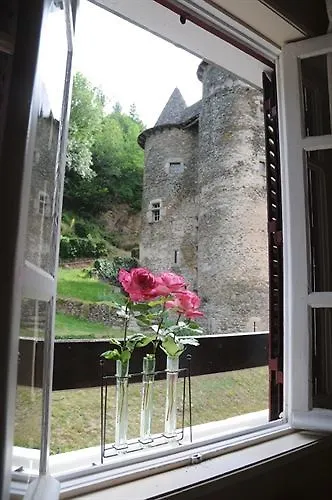 Hotel De La Terrasse Vieillevie 3*,