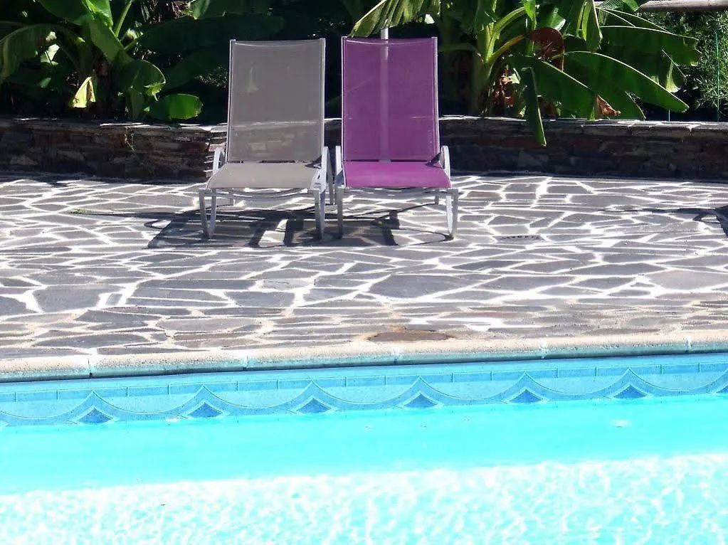 Hotel De La Terrasse Vieillevie