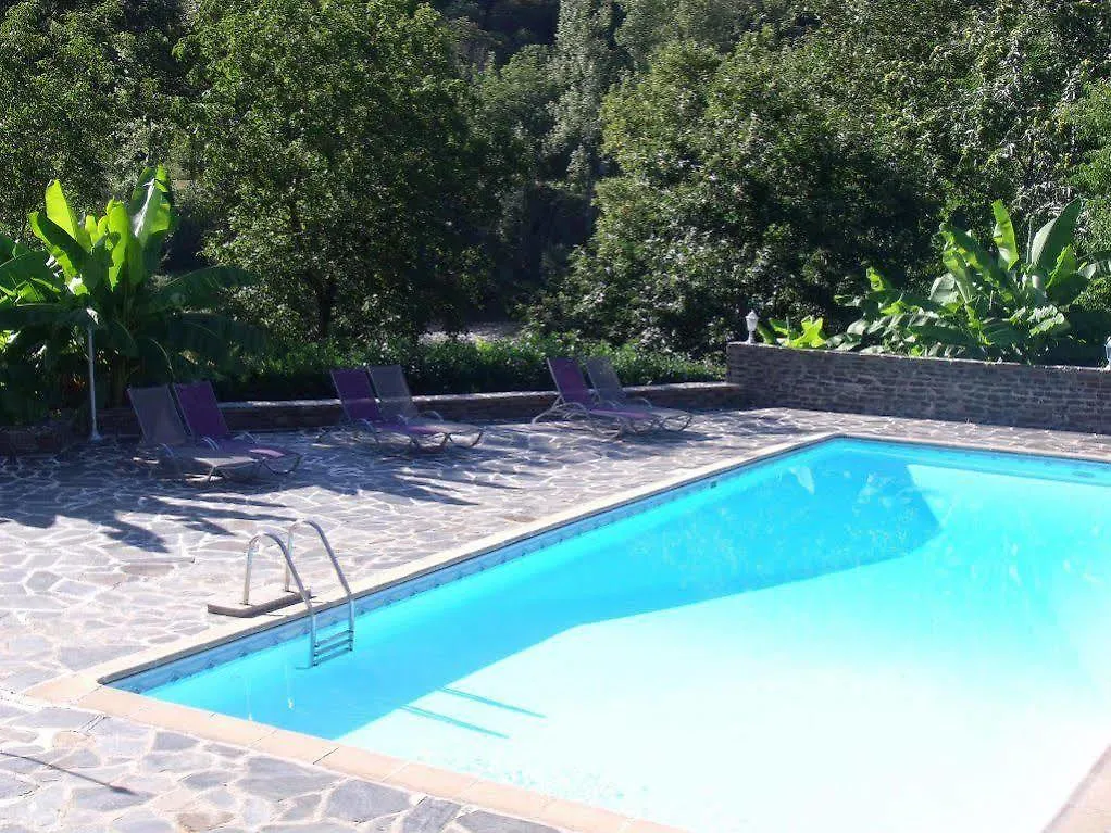 Hotel De La Terrasse Vieillevie 3*,